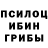 Псилоцибиновые грибы прущие грибы ByLaT Lat