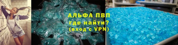 стафф Корсаков