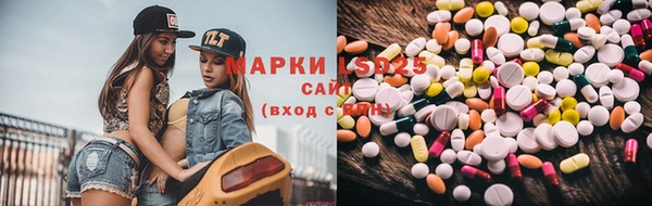стафф Корсаков
