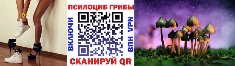 Галлюциногенные грибы Psilocybine cubensis  Красавино 